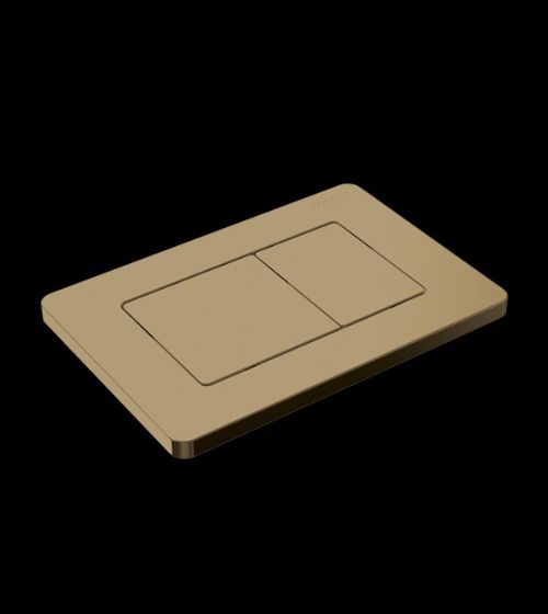 Brushed Gold Stainless Steel Flush Plate – Aquant India